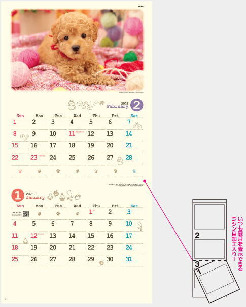 楽天市場】カレンダー 壁掛け 犬 可愛い ナチュラルドック 2ヶ月表示