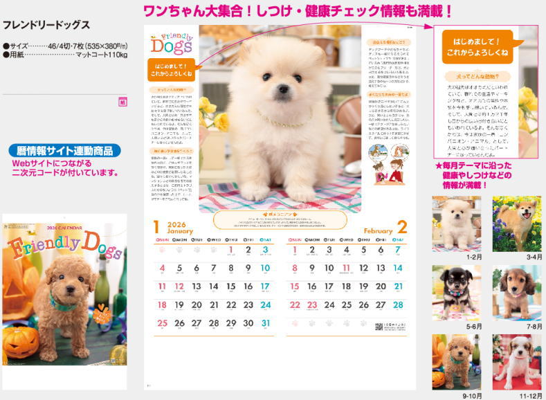 楽天市場】カレンダー 2026 壁掛け 犬 フレンドリードックス 壁掛け