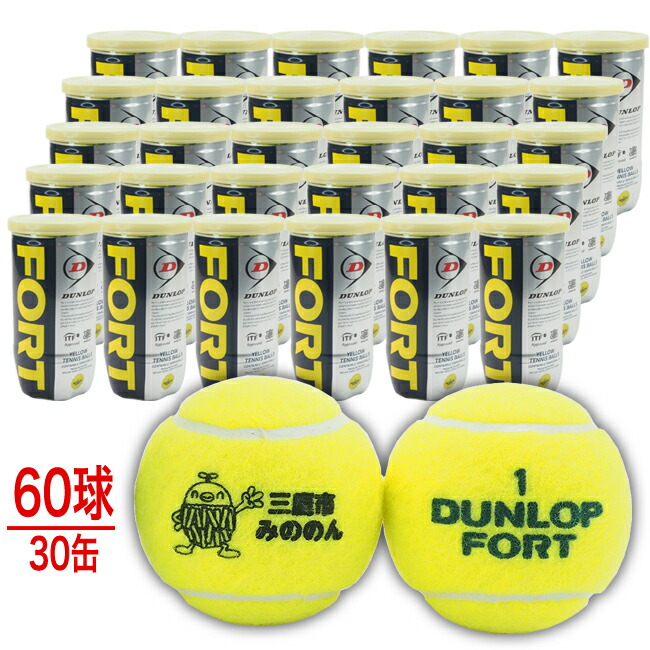 テニプリ】テニスボール ブリジストンNT8 2球入り×30缶 テニプリ