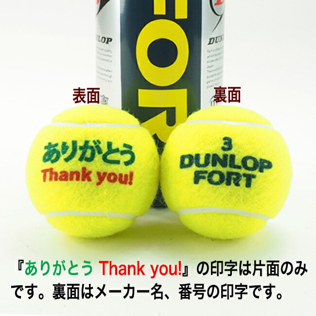 DUNLOP FORT テニスボール 2球缶×22個 + 4球缶×2