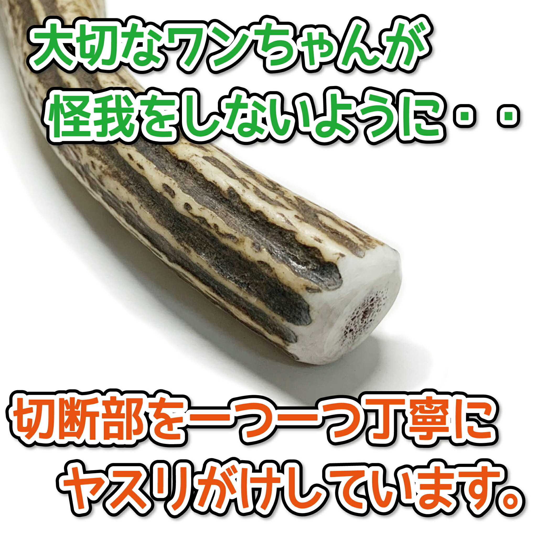 楽天市場】中型犬用 蝦夷鹿の角 『鹿角さん』 割っていないタイプ 1本