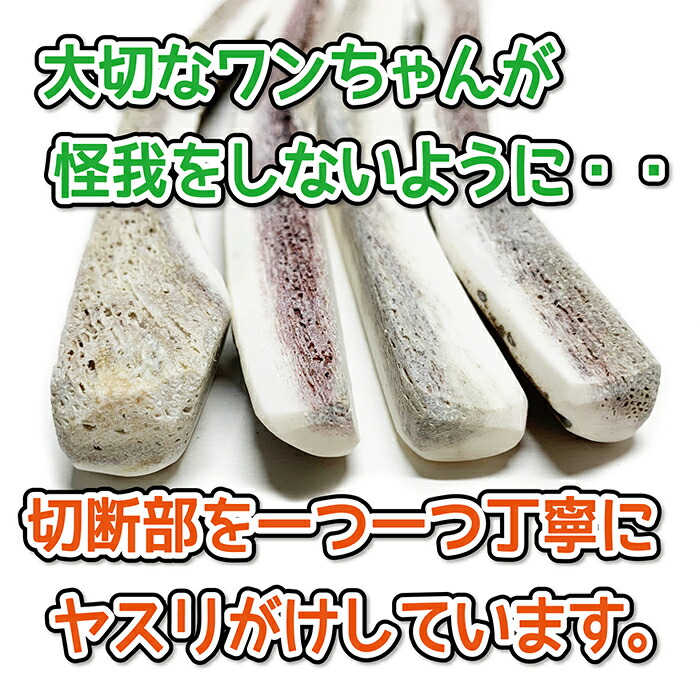 楽天市場】【中型犬用 蝦夷鹿の角】『鹿角さん』 髄出し割り角 四つ