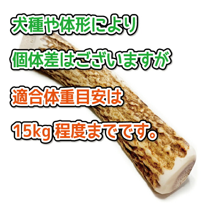 楽天市場】【中型犬用 蝦夷鹿の角】『鹿角さん』 髄出し割り角 四つ