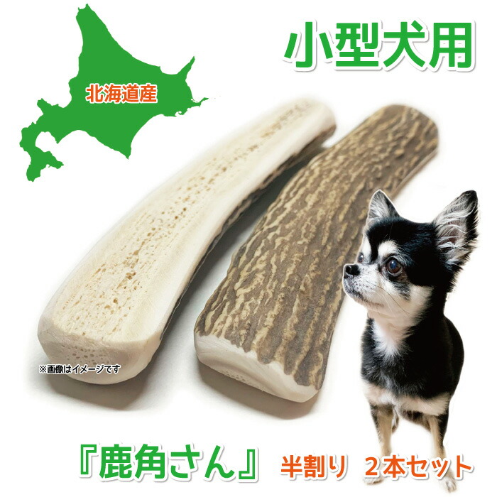 鹿角 根付 仔犬 犬 古民藝 鹿角 根付 仔犬 犬 古民藝 鹿角 根付 仔犬