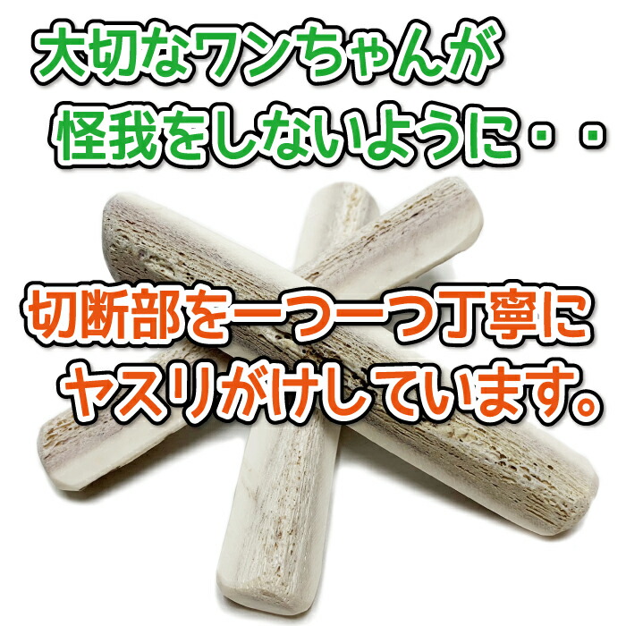 楽天市場】【小型犬用 蝦夷鹿の角】犬のおもちゃ『鹿角さん』 髄出し四