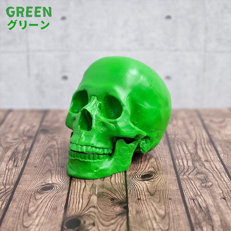 頭骨 人体模型 ドイツ 髑髏 ドクロ 置物 オブジェ アートvintage 楽天