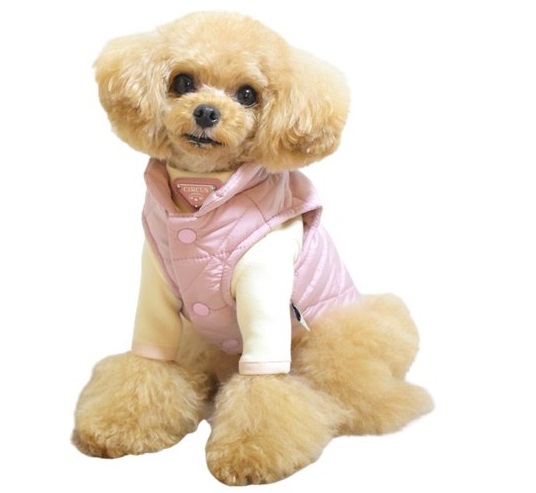 楽天市場】サーカスサーカス circus circus Chic Quilting JK(CCW-0241