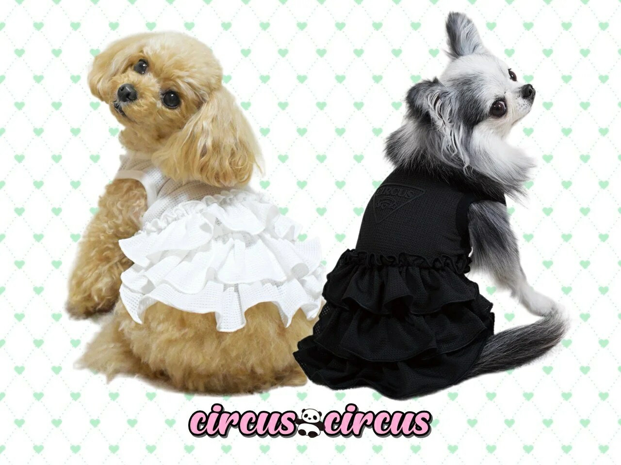 XSワンピース3点+スヌード2点の5点セット サーカスサーカスCIRCUSCIR