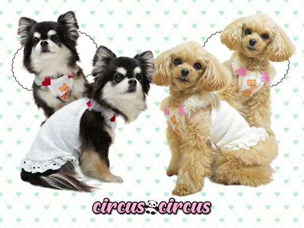 楽天市場】サーカスサーカス circus circus Cupid Bear Heartキャミ