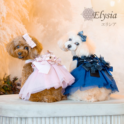 楽天市場】グラマーイズム Glamourism エリシア（Elysia）【小型犬 犬