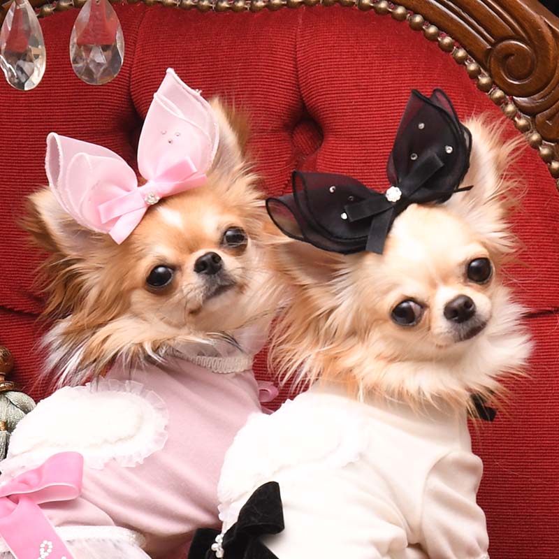 リュクスバーディ ルージュワンピース バレッタセット リュクス