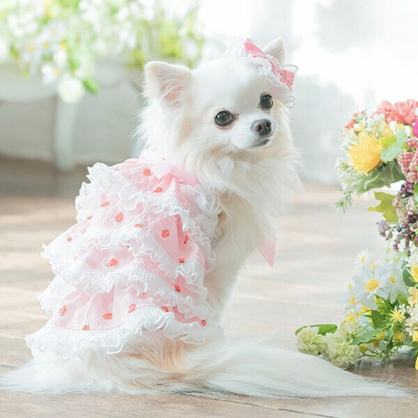 ハンドメイド パフスリーブワンピース オーダー小型犬 ドッグウェアの