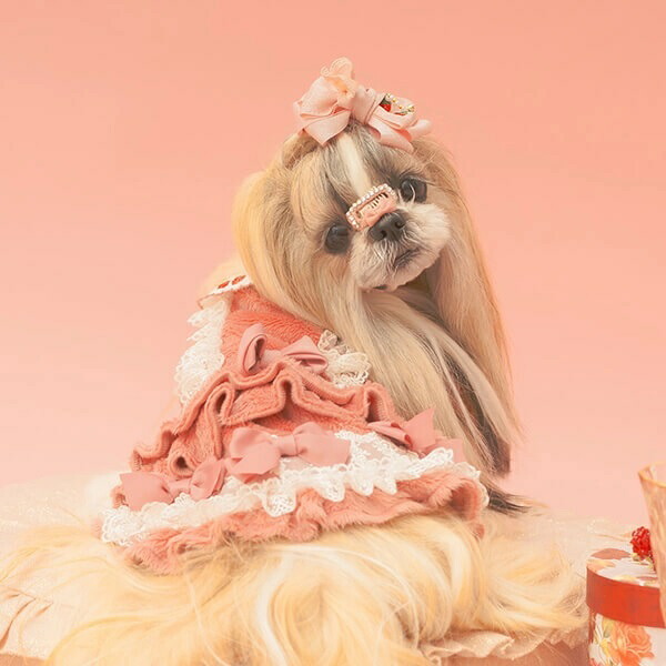 楽天市場】きゃんナナ CanNana 冬いちごスウィートワンピース 1147