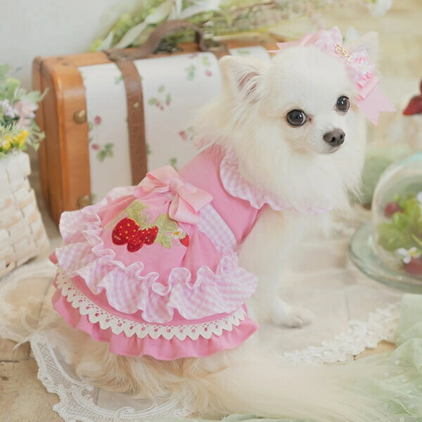 稀少 美品】きゃんナナ いちごキャミワンピ S+Mサイズ