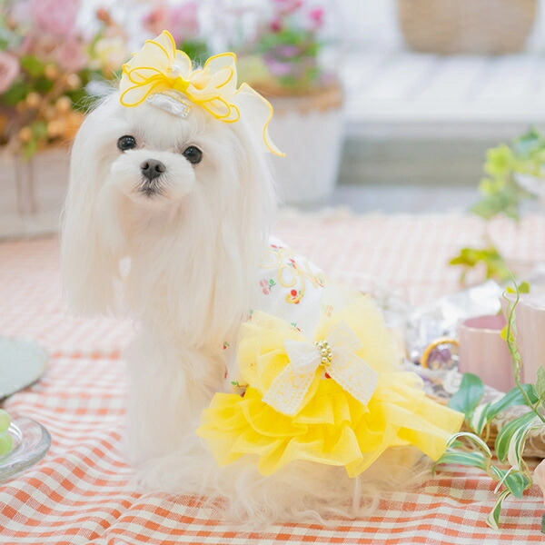 楽天市場】きゃんナナ CanNana さくらんぼカットソードッキング