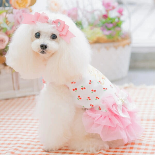 楽天市場】きゃんナナ CanNana さくらんぼカットソードッキング