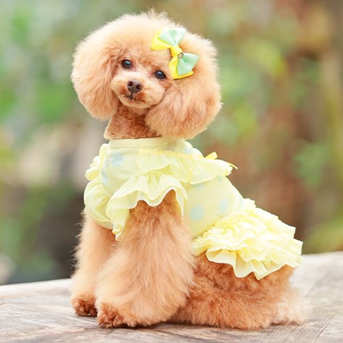 ゴッドピバGODPIVA COOLワンピースバレッタ付