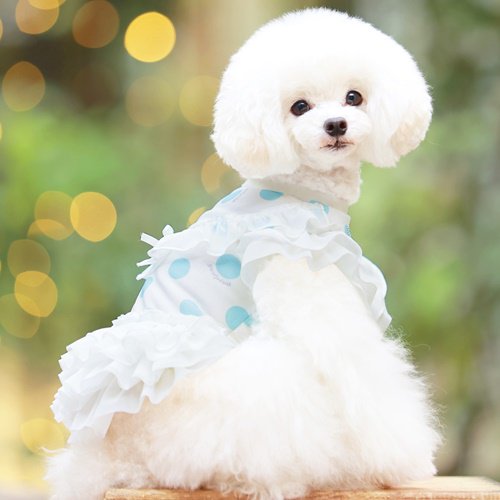 ゴッドピバGODPIVA COOLワンピースバレッタ付