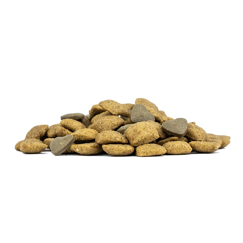 楽天市場】フォルツァディエチ FORZA10 Renal Active リナール