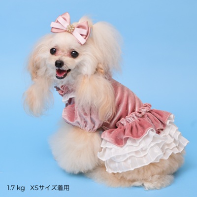 楽天市場】ゴッドピヴァ GODPIVA ドットプリマワンピース【小型犬 犬服