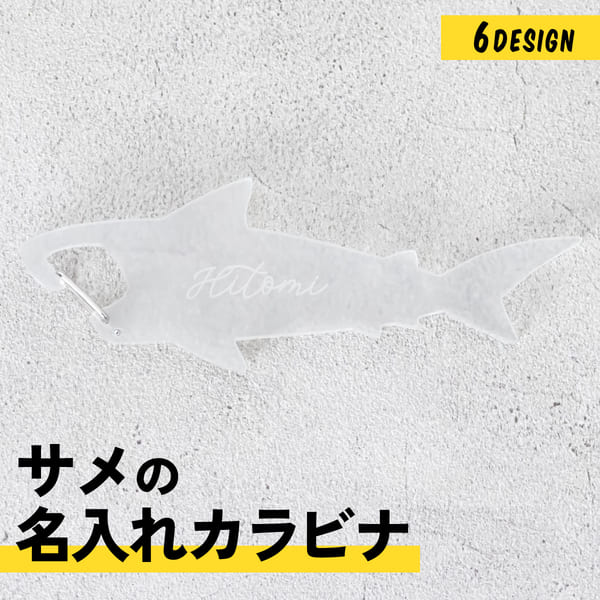 sac_sku_mc.jpg?fitin=720:720