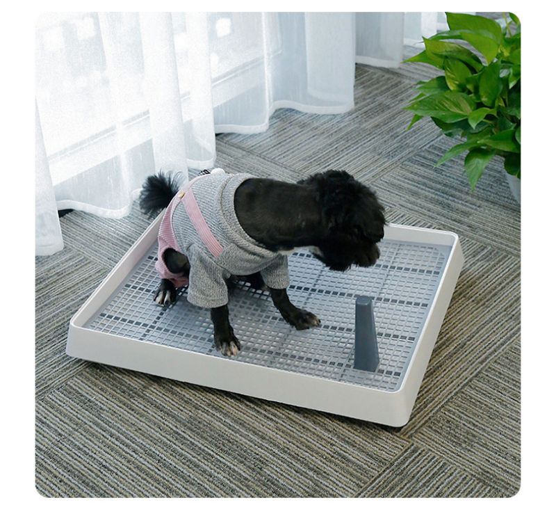 acry-ya アクリ屋ドットコム 犬トイレ ホワイト 新品 レギュラーサイズ