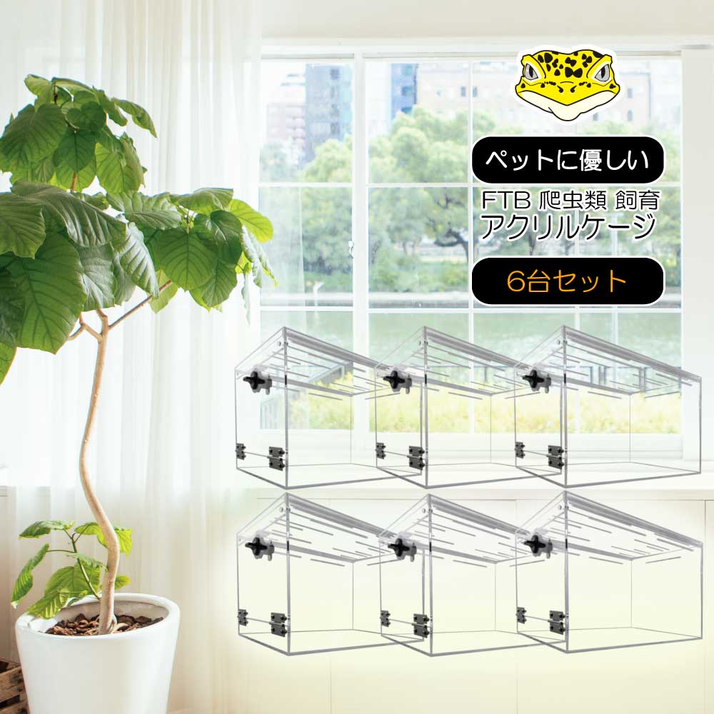 爬虫類ゲージ 【アクリル】【No.1】 【公式通販】