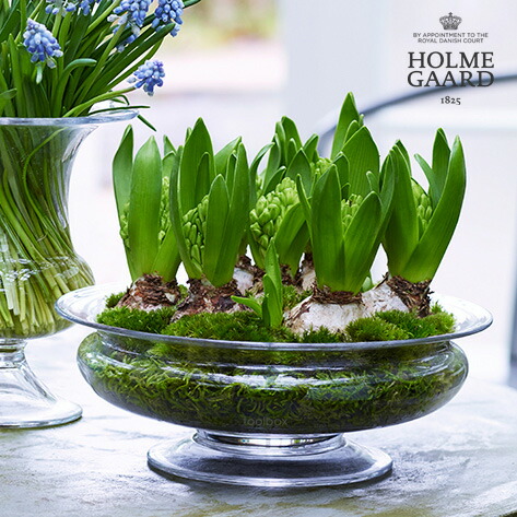 Steuben Galss ディープフラワーボウル 花器 果物鉢 Steuben Galss