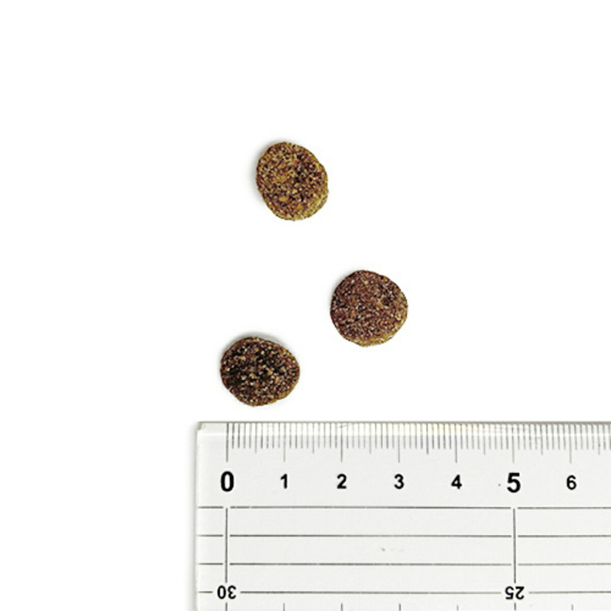 楽天市場】【並行輸入品】 アカナ グラスフェッドラム レシピ 全犬種