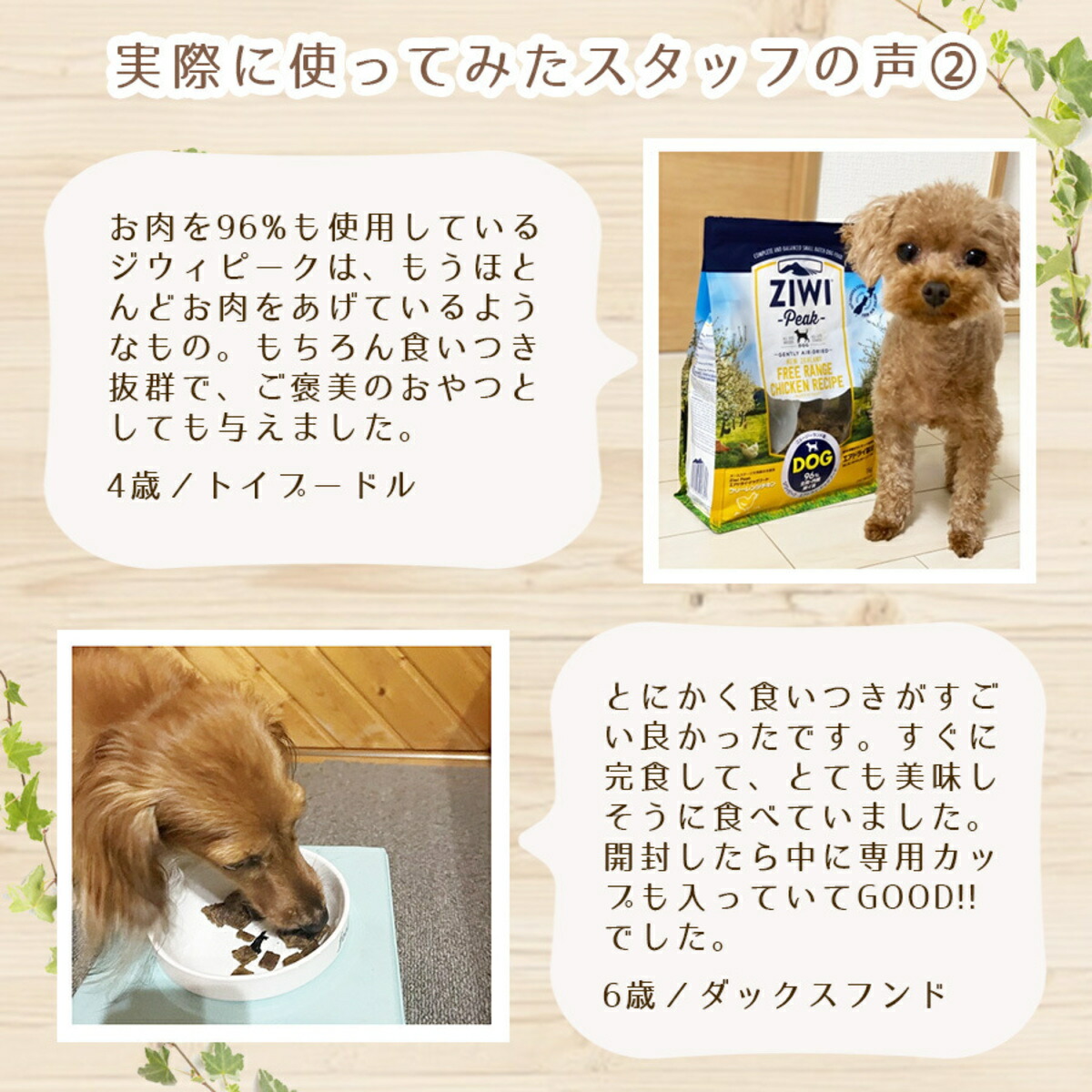 楽天市場】ジウィピーク ZIWI Peak トライプ＆ラム レシピ 犬用