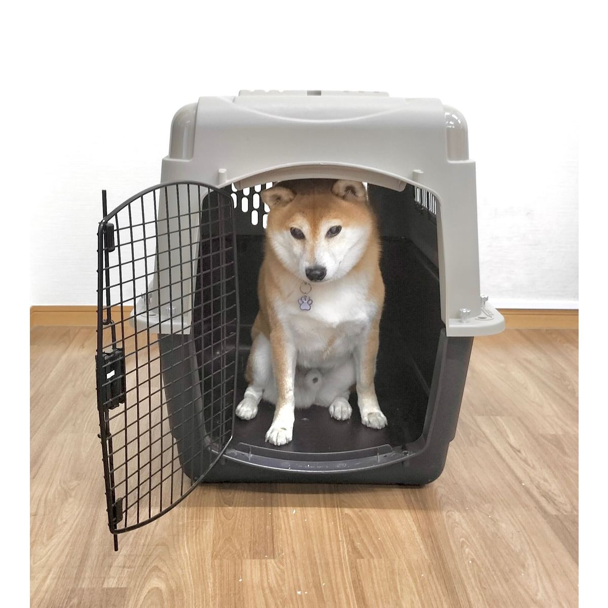 楽天市場】ペットメイト ウルトラバリケンネル 300 MLサイズ 30-50lbs