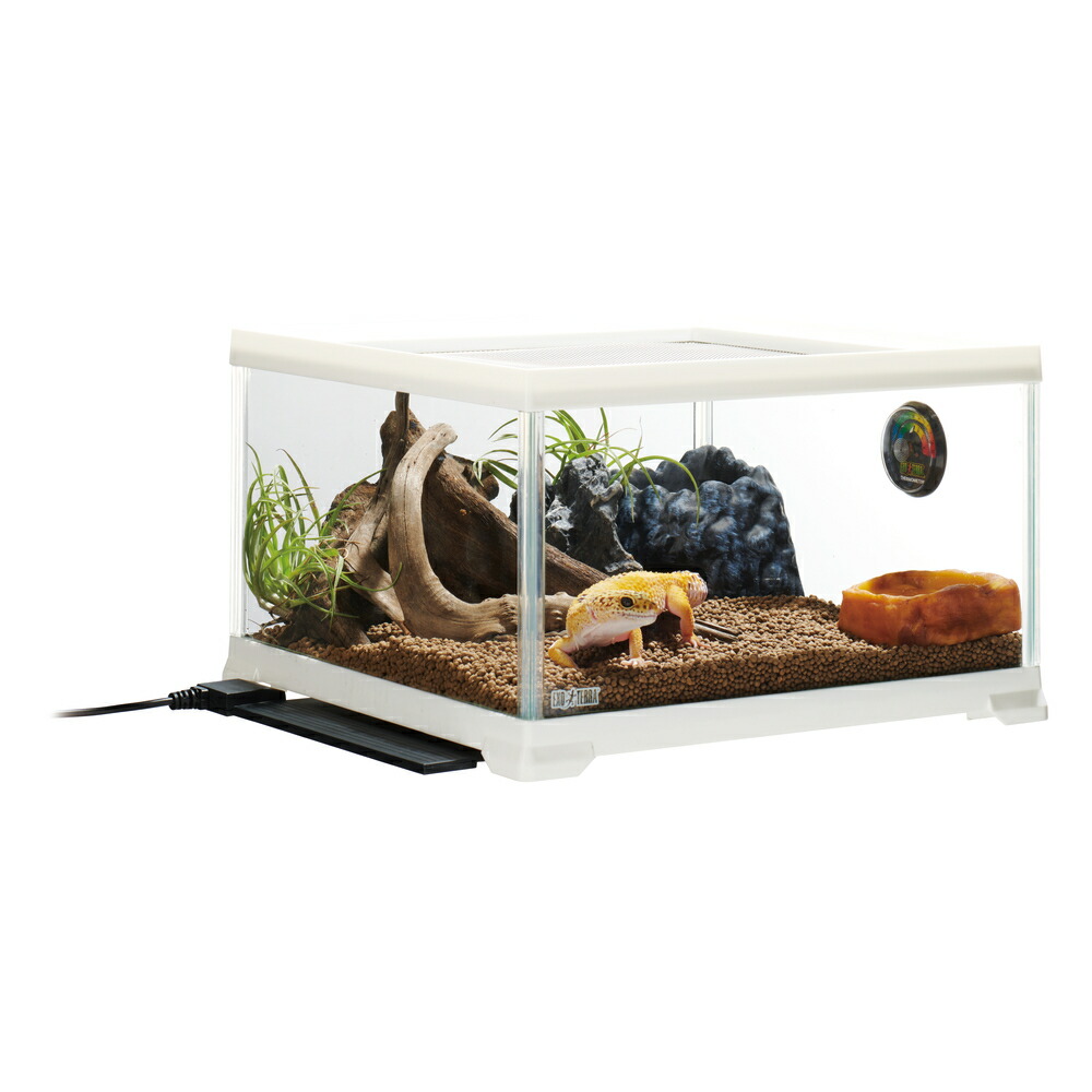 ヒョウモントカゲモドキ レオパ 爬虫類 飼育ゲージ 一式 爬虫類ケージ