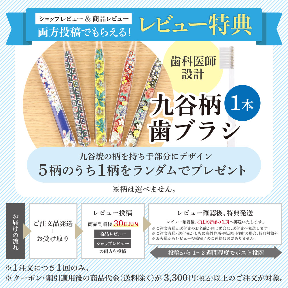 楽天市場】九谷焼 陶額 金彩富士 / 谷敷正人 ＜送料無料＞額縁 陶額
