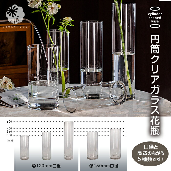 楽天市場】【送料無料】円筒形のクリアガラス花瓶一輪挿し 枝物