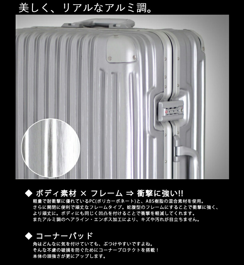 楽天市場】siffler/シフレ【トライデント(TRIDENT) フレーム スーツ