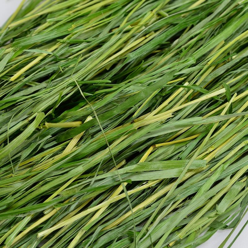 楽天市場】2/13以降順次発送 ウーリー 高原の朝採り牧草「イタリアン