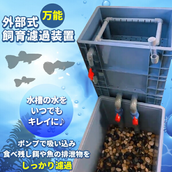 楽天市場】濾過器 ろ過 沈殿層 蓋あり 濾過装置 濾過外部式濾過層