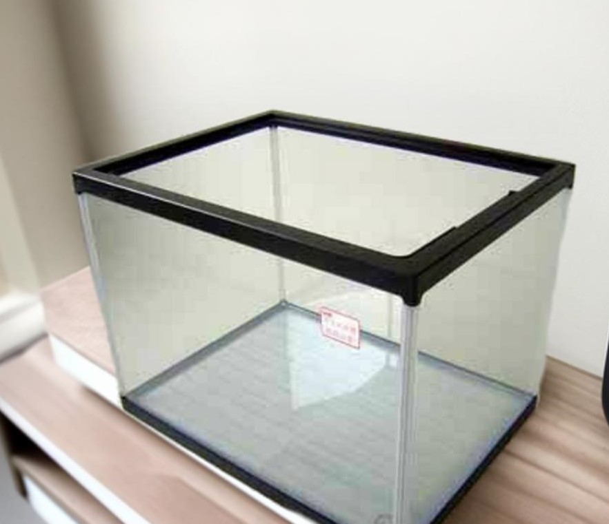 楽天市場】60センチセンチ水槽 ガラス水槽 鈴木製作所 幅60奥行き45