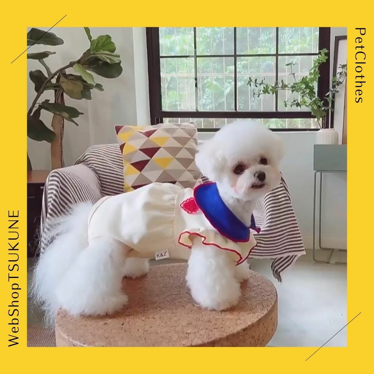 楽天市場】術後服 犬 フリル K&Z XS S M L XL男の子 女の子 送料無料