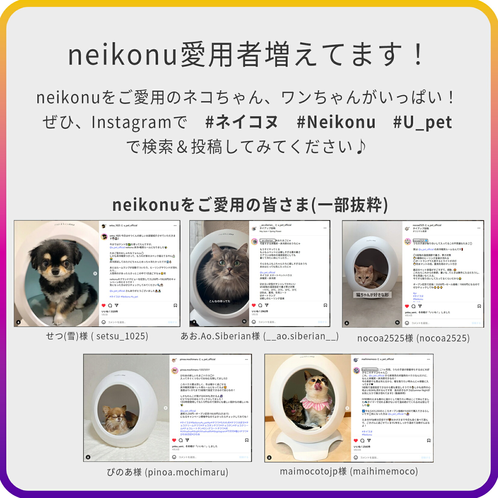 neikonu 卵型ハウス ホワイト neikonu 卵型ハウス ホワイト neikonu 卵