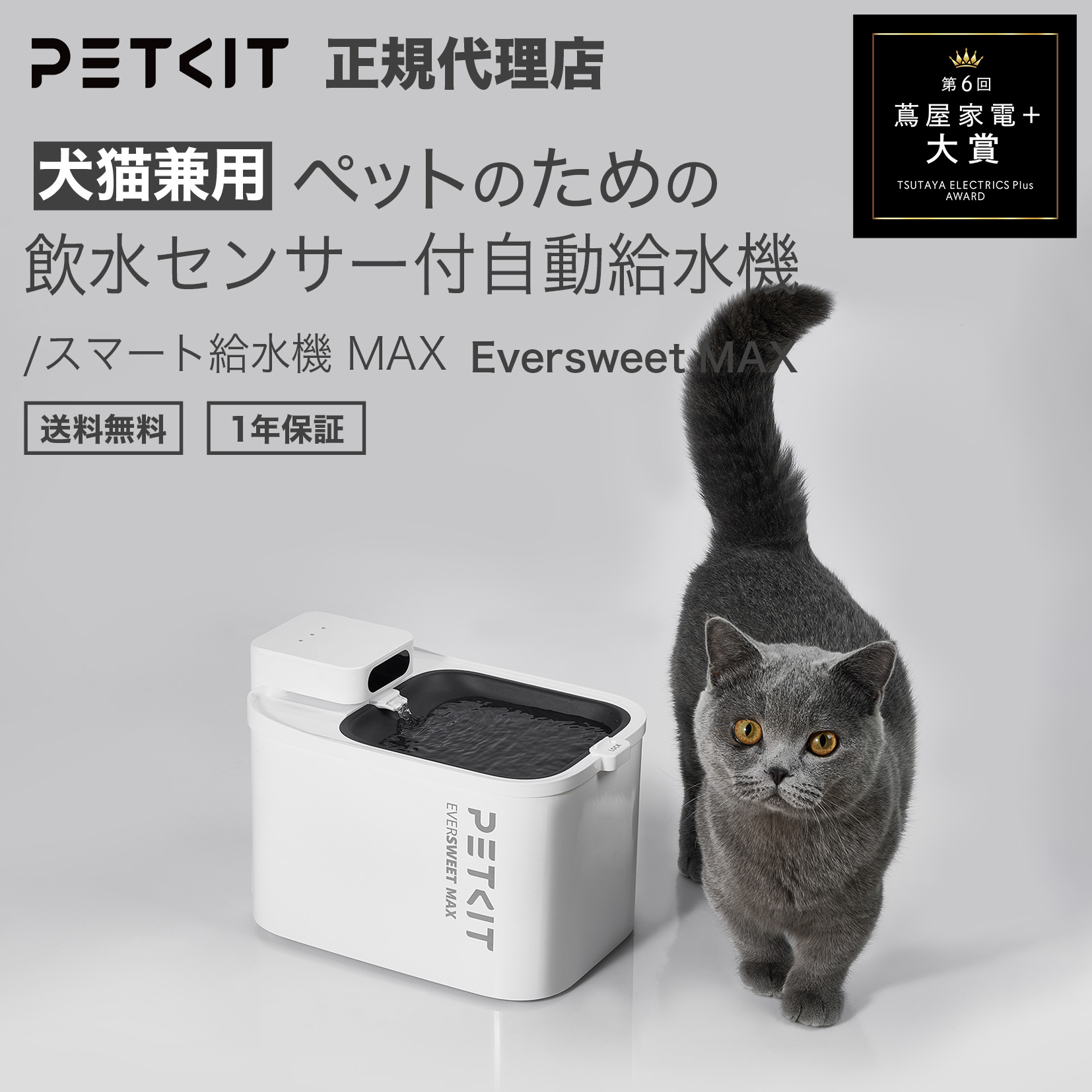 楽天市場】＼お買い物マラソン15%OFFクーポン／ ペット用 ウォーター