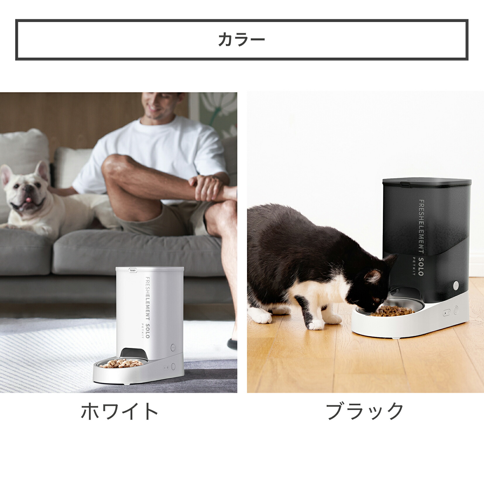 楽天市場】＼お買い物マラソン15%OFFクーポン／ petkit Fresh Element