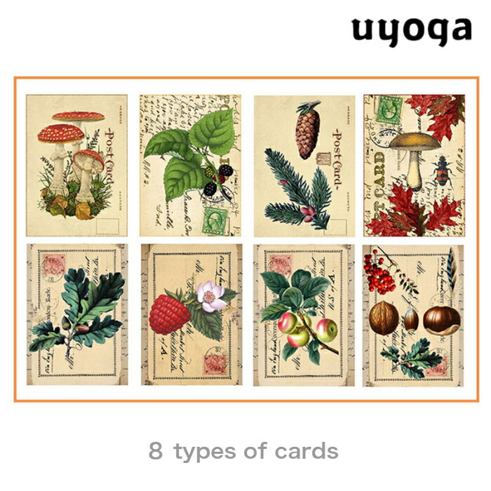 楽天市場】アンティーク風カードセット［植物図鑑］8枚入り / 実葉