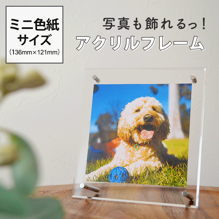 バレリーナのアクリル画色紙サイズ フレームなし バレリーナのアクリル