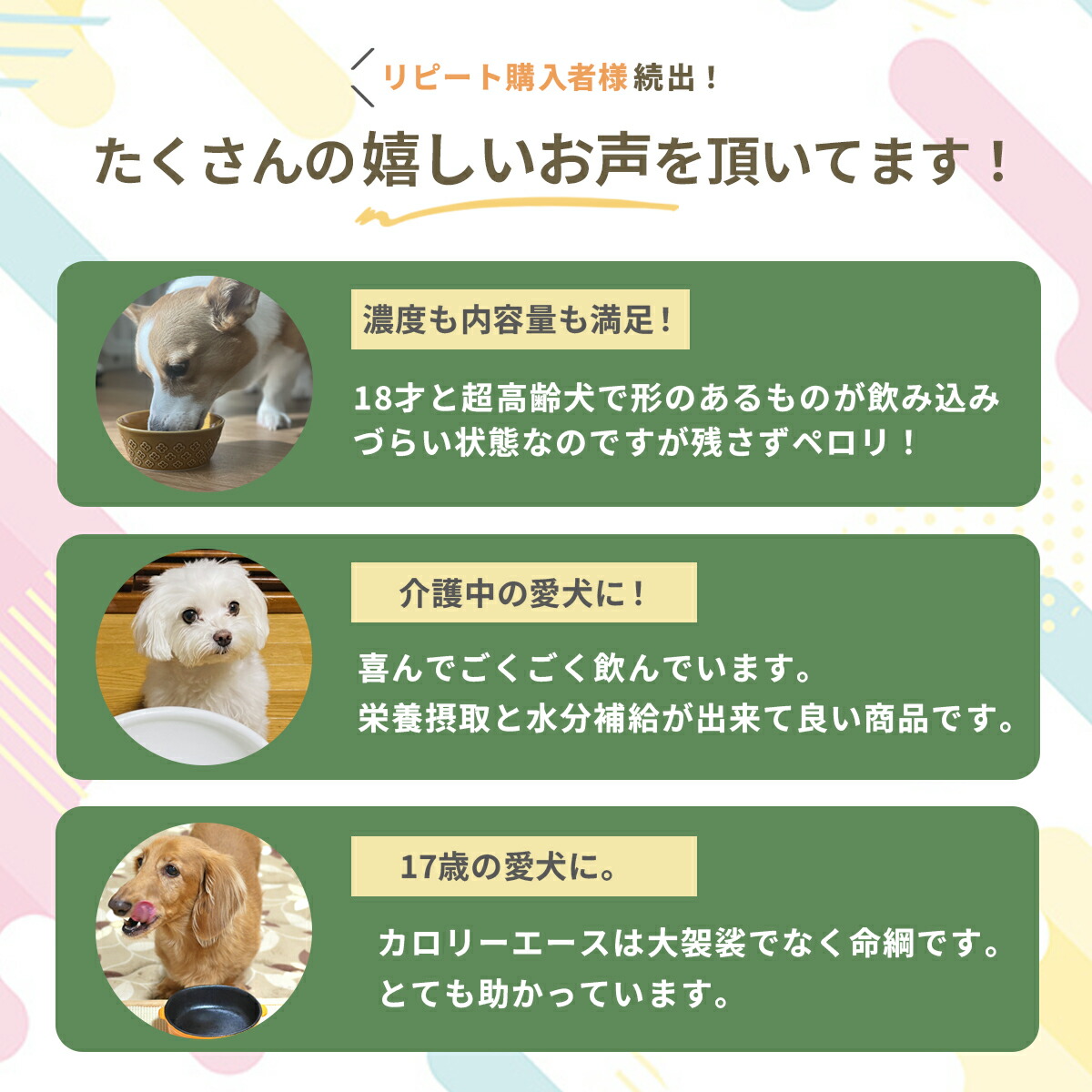 楽天市場】デビフ 缶詰 犬 犬用 カロリーエースプラス 犬用流動食
