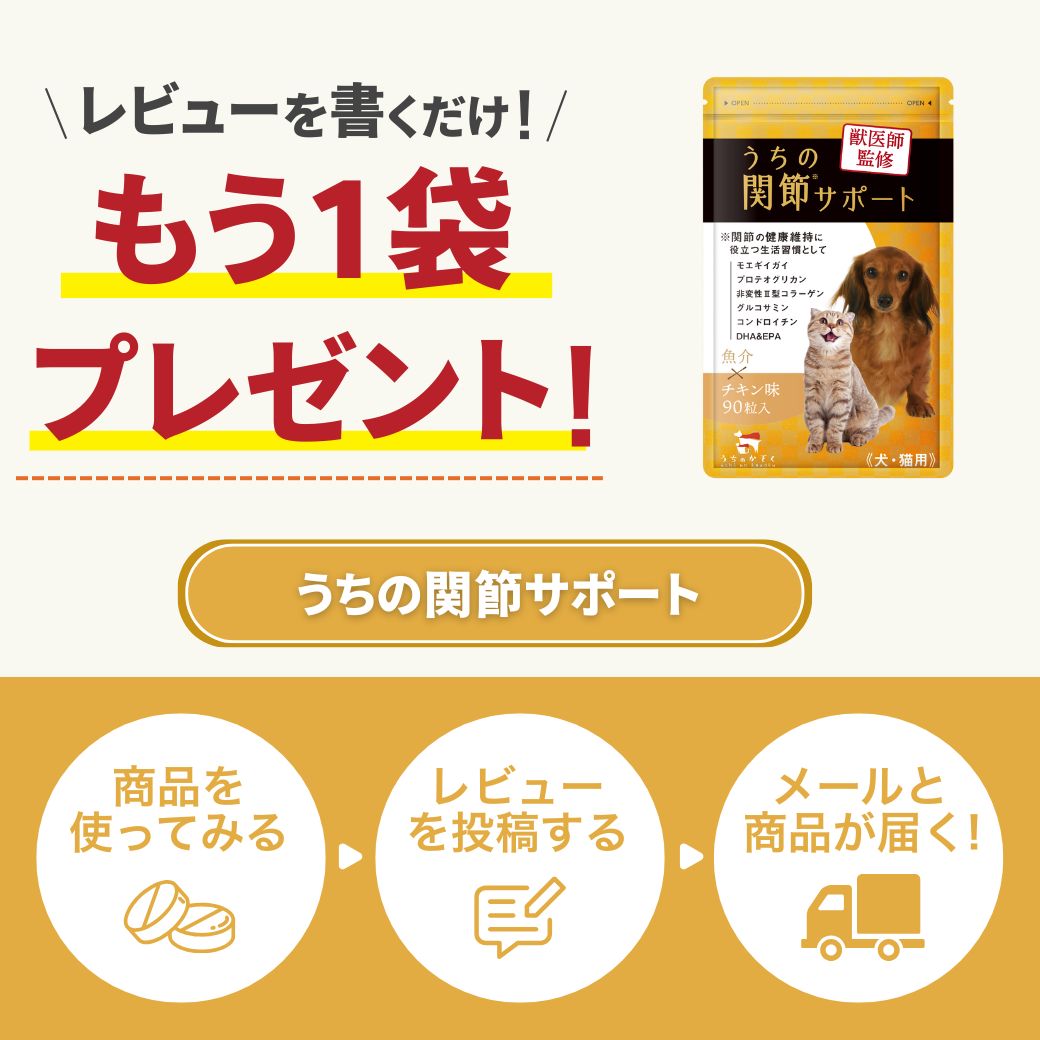 楽天市場】＼クーポンで20%OFF！／うちの関節サポート 関節 サプリ 猫