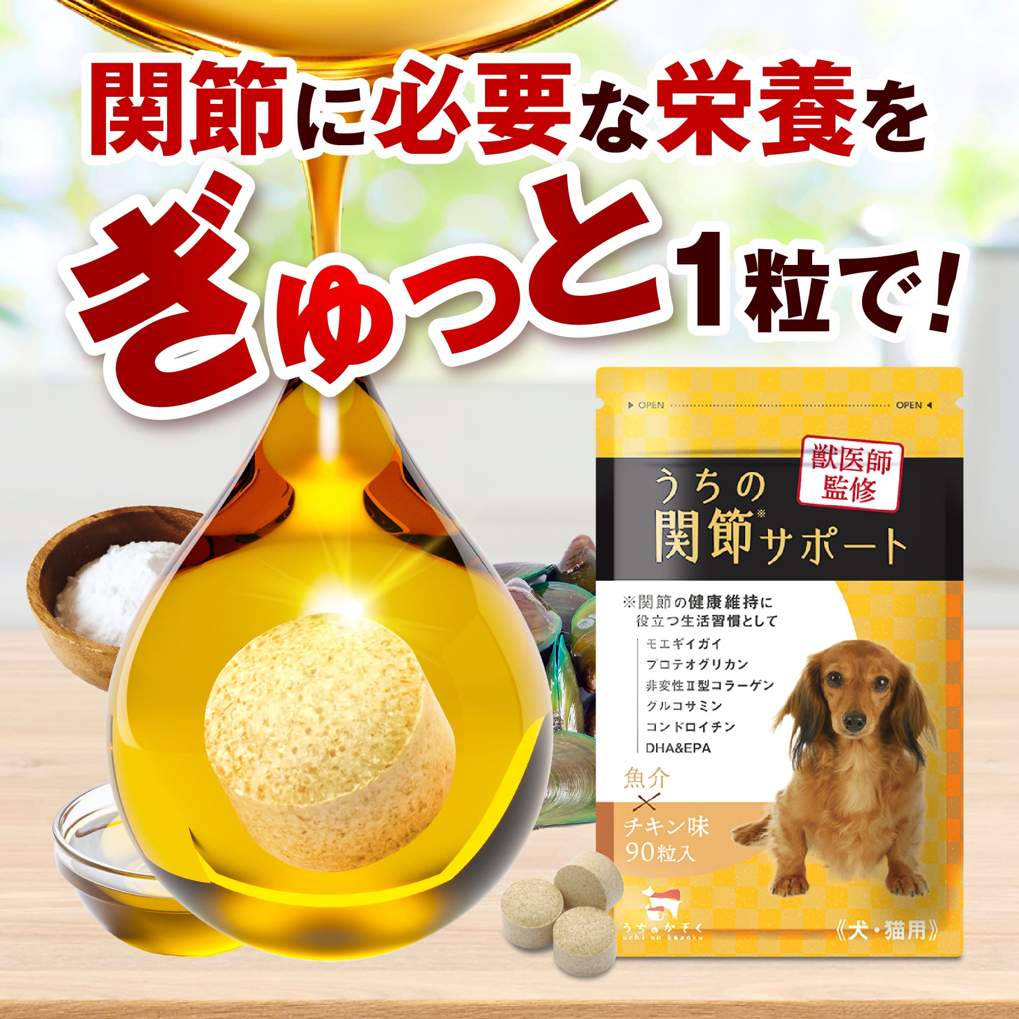 楽天市場】＼クーポンで20%OFF！／うちの関節サポート 関節 サプリ 猫