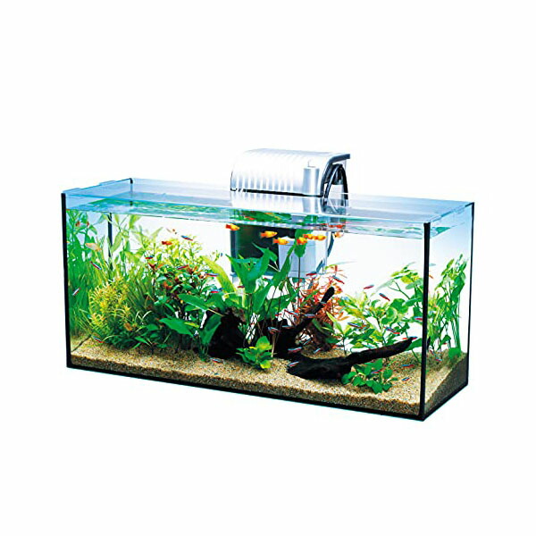 30センチテラリウム水槽とテトラマリンソルトセットやっそさん専用 30