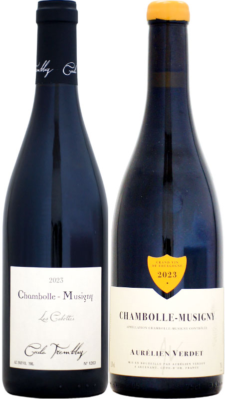 楽天市場】ドメーヌ・セシル・トランブレイ シャンボール・ミュジニー