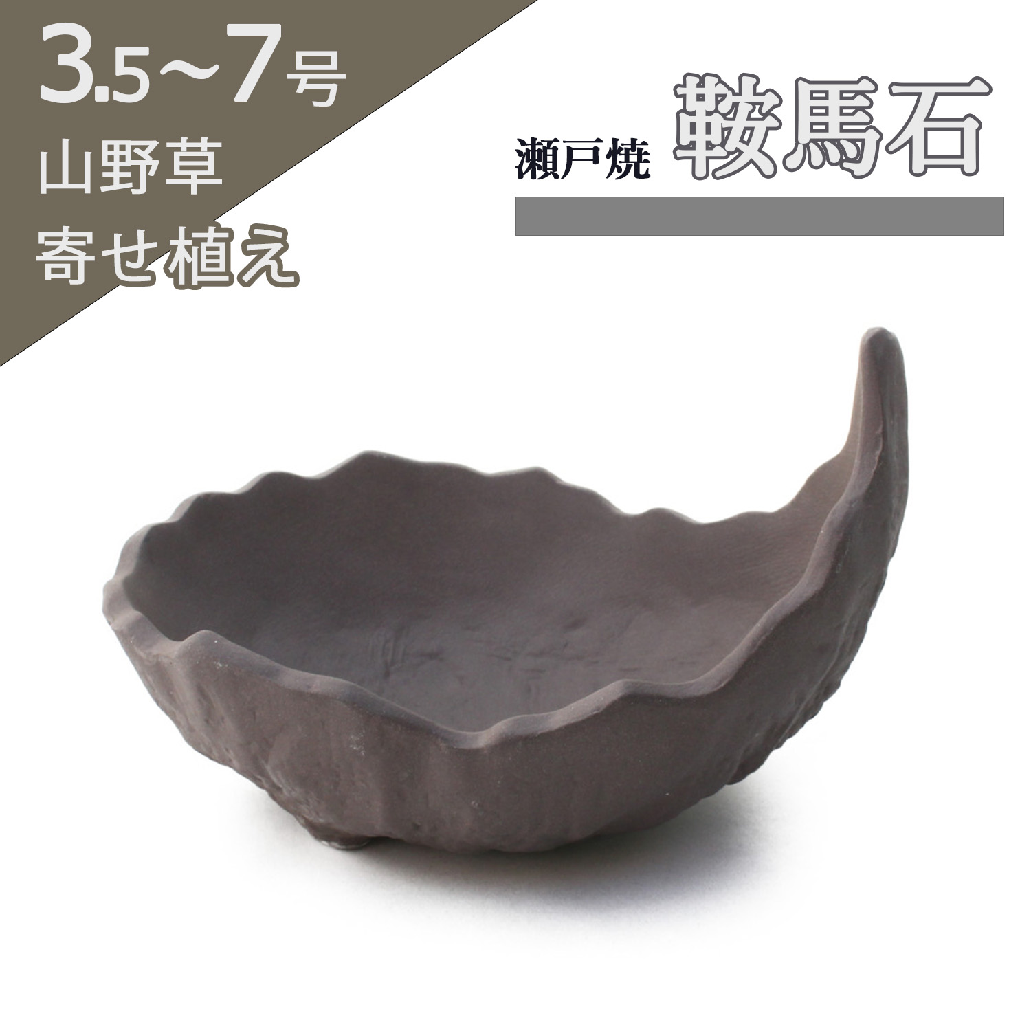 盆栽鉢 丸鉢 絵鉢 桑津香石 蝶柄 山野草 小品盆栽 ミニ盆栽鉢 絵鉢